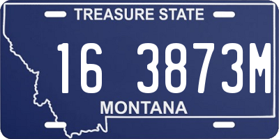 MT license plate 163873M