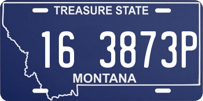MT license plate 163873P