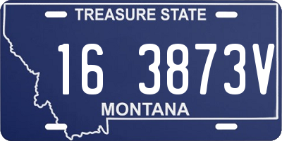 MT license plate 163873V