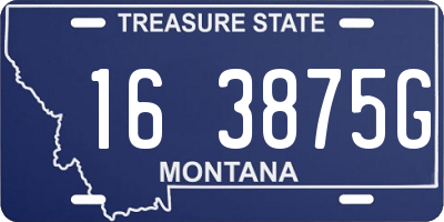 MT license plate 163875G