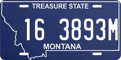 MT license plate 163893M