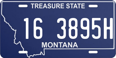MT license plate 163895H