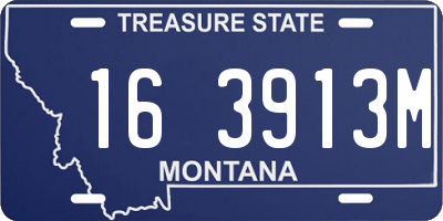 MT license plate 163913M