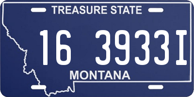 MT license plate 163933I
