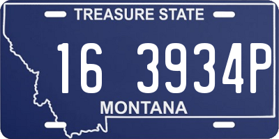 MT license plate 163934P