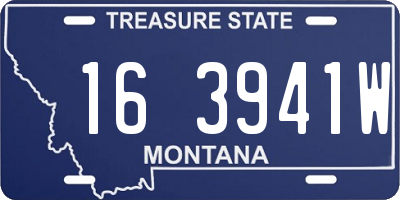 MT license plate 163941W