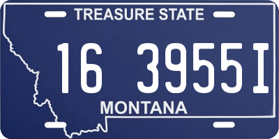MT license plate 163955I