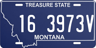 MT license plate 163973V
