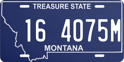 MT license plate 164075M