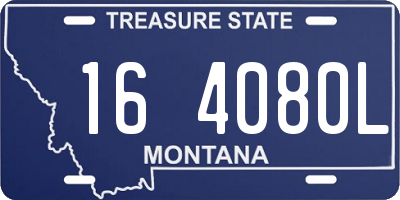 MT license plate 164080L