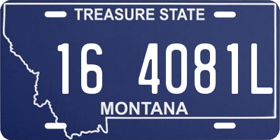 MT license plate 164081L
