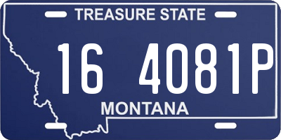 MT license plate 164081P