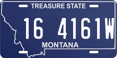 MT license plate 164161W