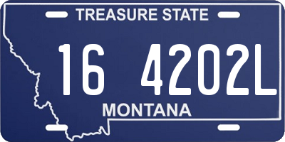 MT license plate 164202L