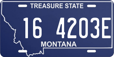 MT license plate 164203E