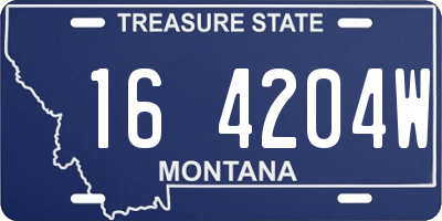 MT license plate 164204W