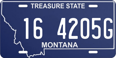 MT license plate 164205G
