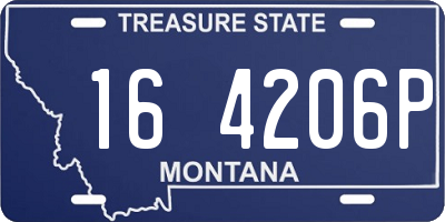 MT license plate 164206P