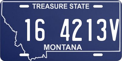 MT license plate 164213V