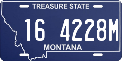 MT license plate 164228M