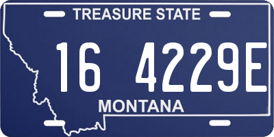 MT license plate 164229E