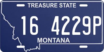 MT license plate 164229P