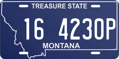 MT license plate 164230P