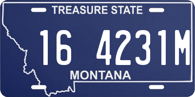 MT license plate 164231M