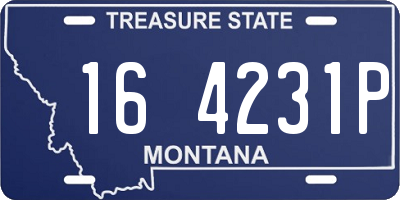 MT license plate 164231P