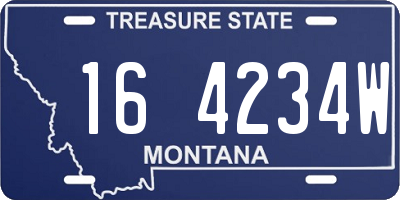 MT license plate 164234W