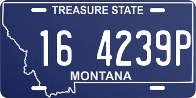MT license plate 164239P