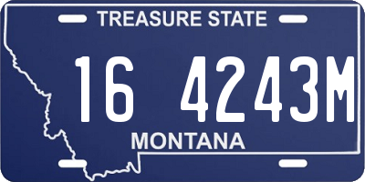 MT license plate 164243M