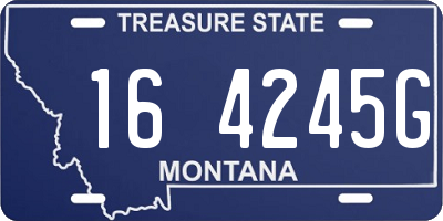 MT license plate 164245G