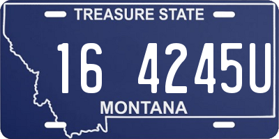 MT license plate 164245U