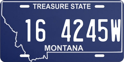 MT license plate 164245W