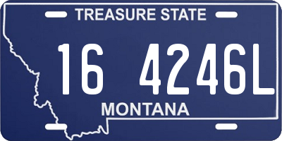 MT license plate 164246L