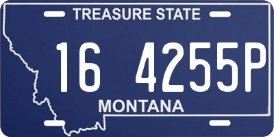 MT license plate 164255P