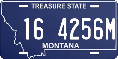 MT license plate 164256M