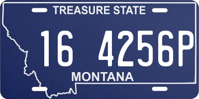 MT license plate 164256P