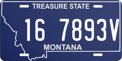 MT license plate 167893V