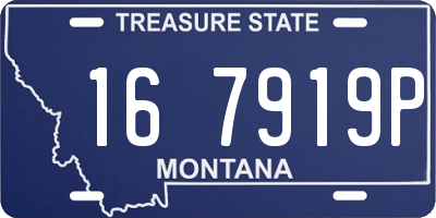 MT license plate 167919P