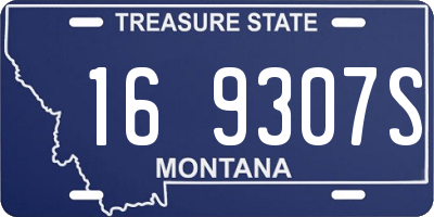 MT license plate 169307S