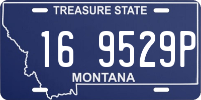 MT license plate 169529P