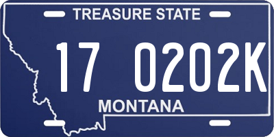 MT license plate 170202K