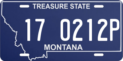MT license plate 170212P