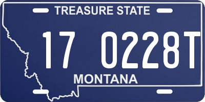 MT license plate 170228T