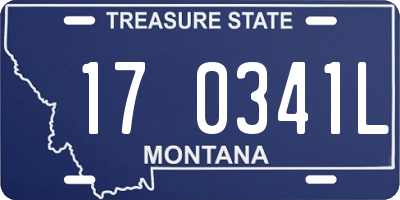 MT license plate 170341L