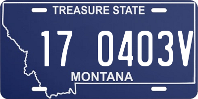 MT license plate 170403V