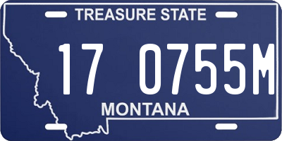 MT license plate 170755M