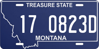 MT license plate 170823D